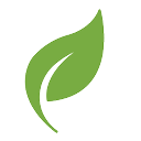 Green Leaf Icon
